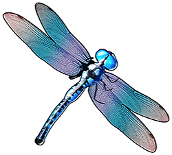 Symbol dragon fly