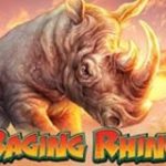 Raging Rhino